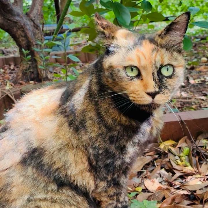 28539226 9dbb 486a 8b7e bfe84d4871fe 1754465734704