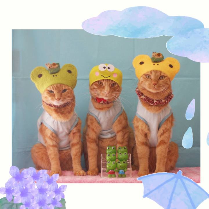 28539b8a c17a 4bb3 be73 ce8ba08079c0 1717239228784