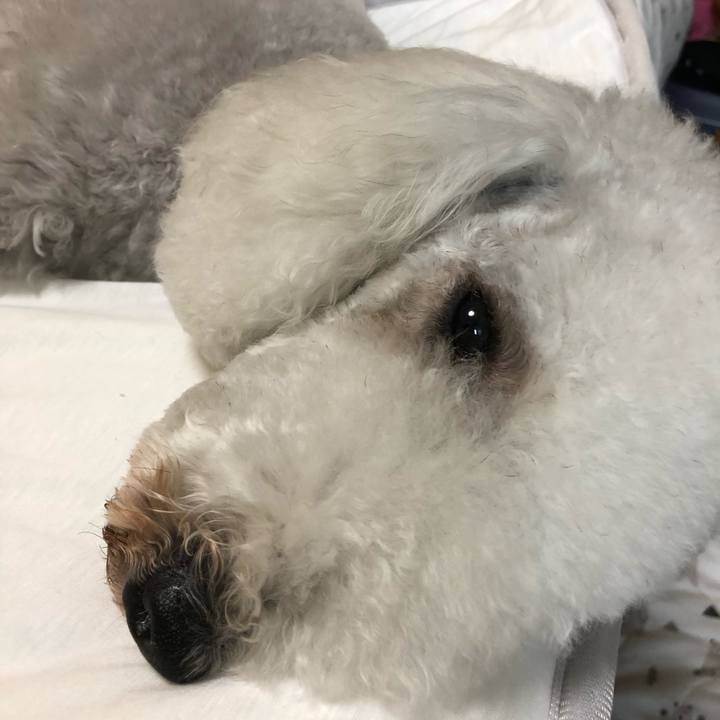 2853a426 8e2c 4a32 90e1 12b6864e3794 1620564334013