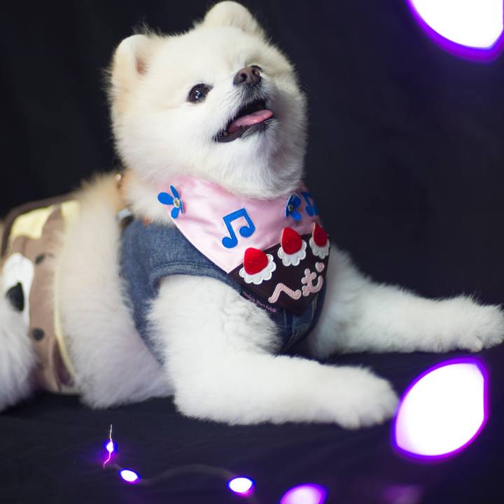 2853c7ed b880 4fd2 a167 01c39622e030 1526720042453