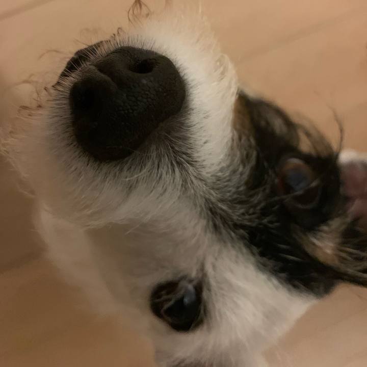 285440e1 70aa 4cf0 8698 f2e1f8c769b0 1697279194222