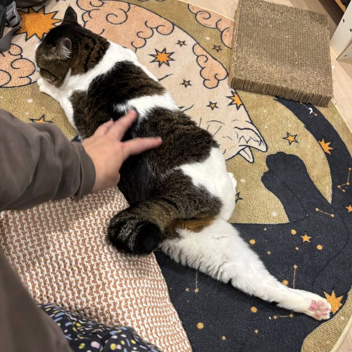 28544f1d 96fe 484d a4bb 7c3b56fbf652 1763128741024