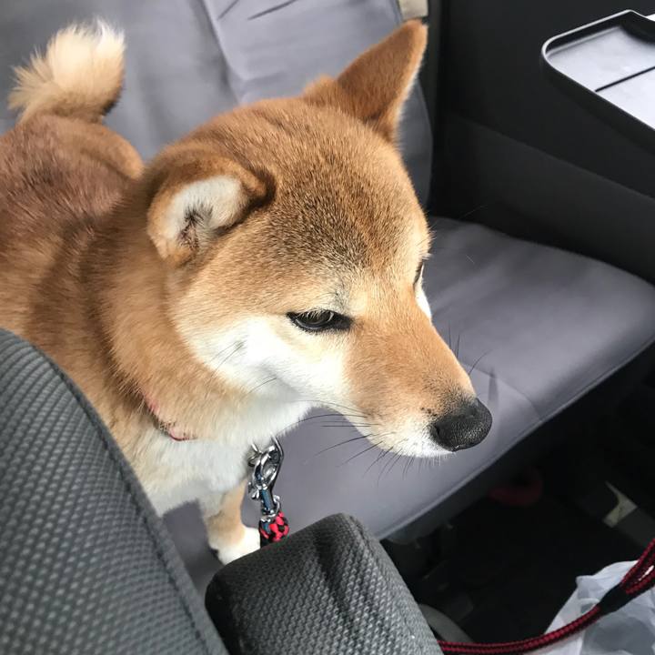 28545c41 b09d 4c28 992d d1ad2cfee750 1519627801027