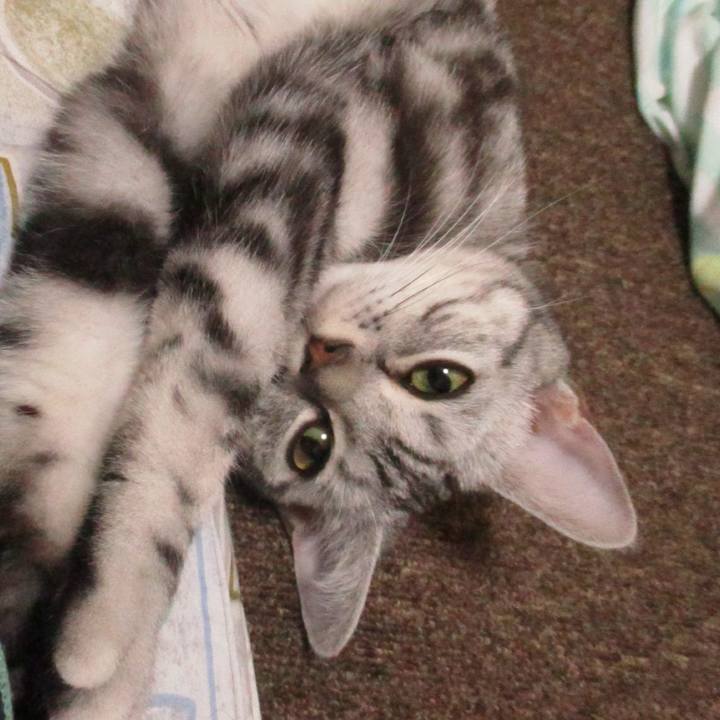 285464ff fc07 46a0 afa6 d89e065aa25c 1557659707822