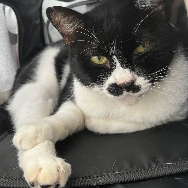 28547a5f 2385 4c11 984a b43d13de530a 1699574420799