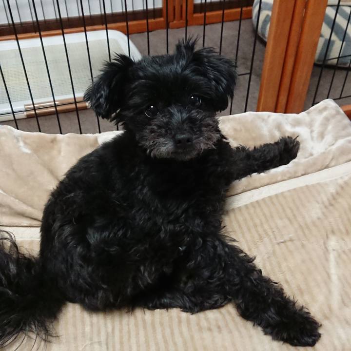 28551d6d e1d1 418a 9a88 e6bf8c72cce2 1517921463216