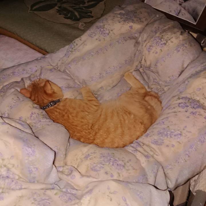 28551e60 71aa 4231 8106 1126a5bcfb7b 1661193244369