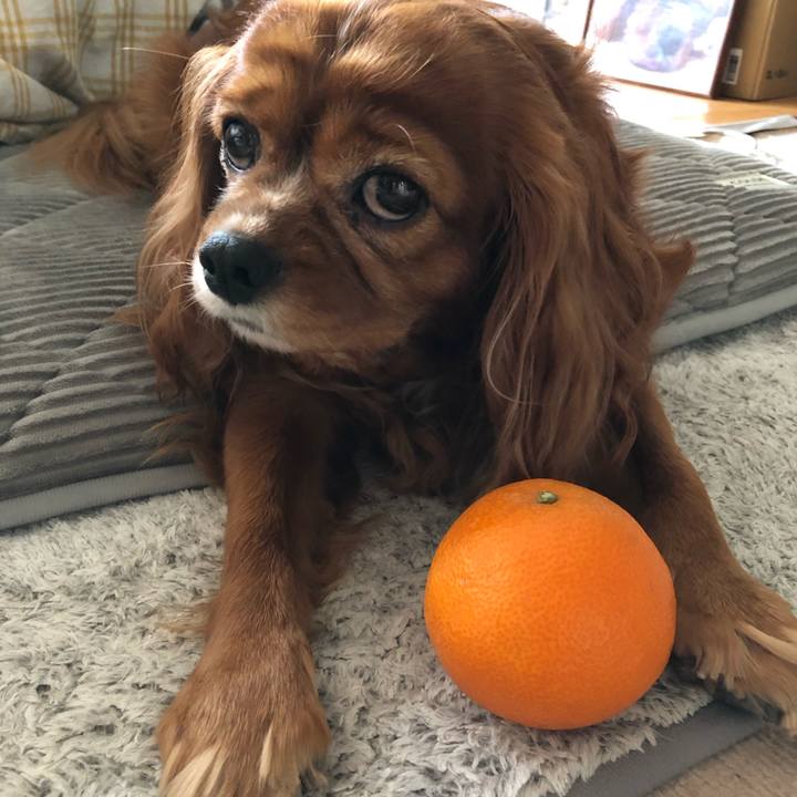 28553537 e146 44f6 829e 8c1bdecc2874 1639286731734