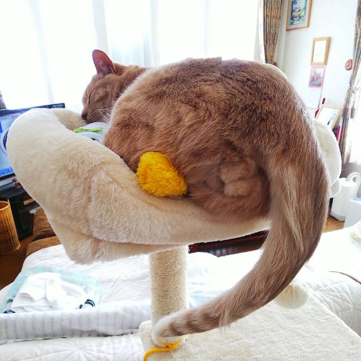 28553a74 0f2e 4e21 87bc e84dfb1561b7 1614744207388