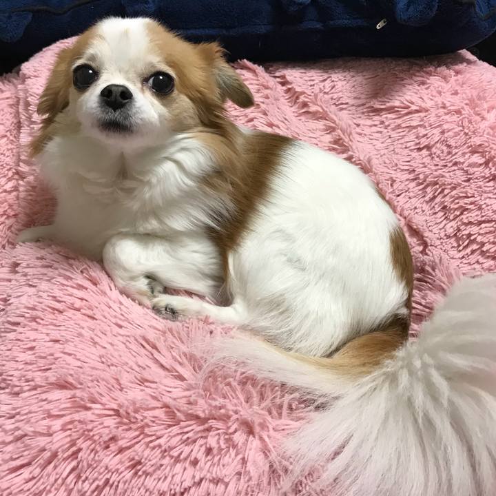 28555f86 9847 4a74 952c bfd02d74c101 1522763260744