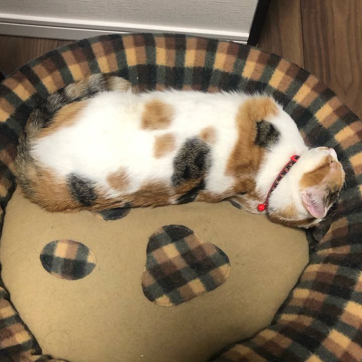 2855745a fc17 48d1 ab0c a0213b24b9ec 1581773746167