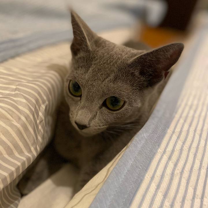 2855889c b0ac 47df 8ada 2dc20a2206e2 1603702818658