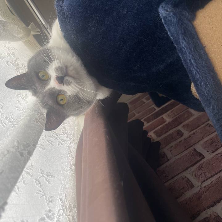 2855b352 7c49 45dd 940c 56809ecff545 1684359479334