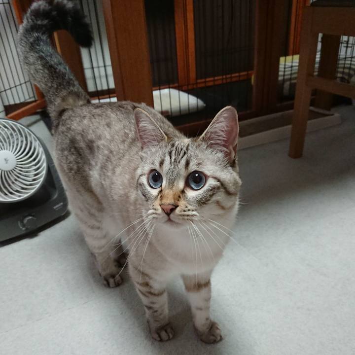 2855cc21 27a3 4c81 b64f 4030b61c3bbd 1568285502613