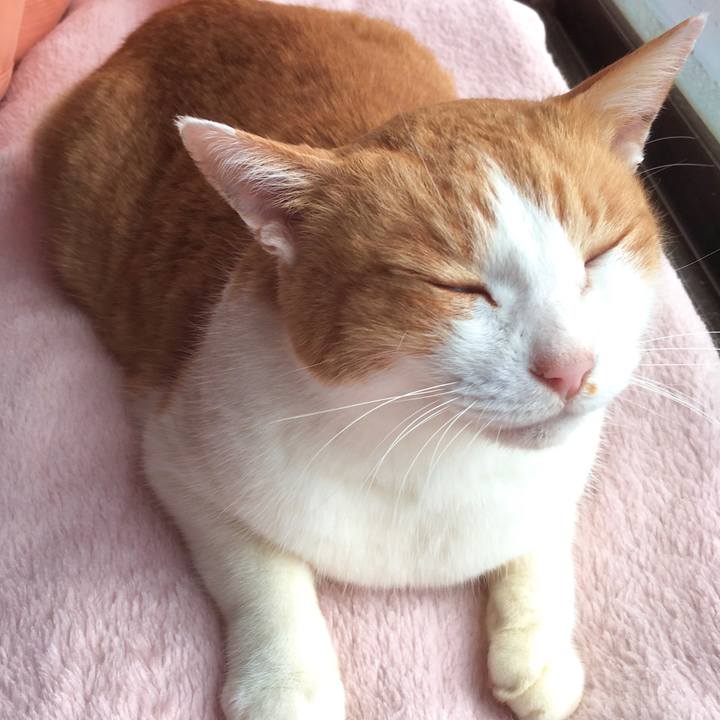 2855d0e7 162d 408e 9920 67727c56e7a7 1576559210910