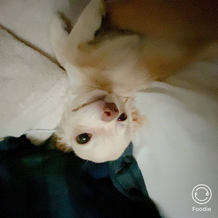 28563dc7 bb94 4d9a b0e7 b7ff2a47fd58 1601762098993