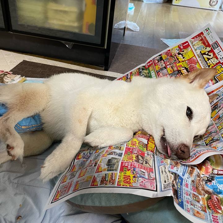 2856487a 427e 497e a3b8 956cfdda7d7e 1656679690187