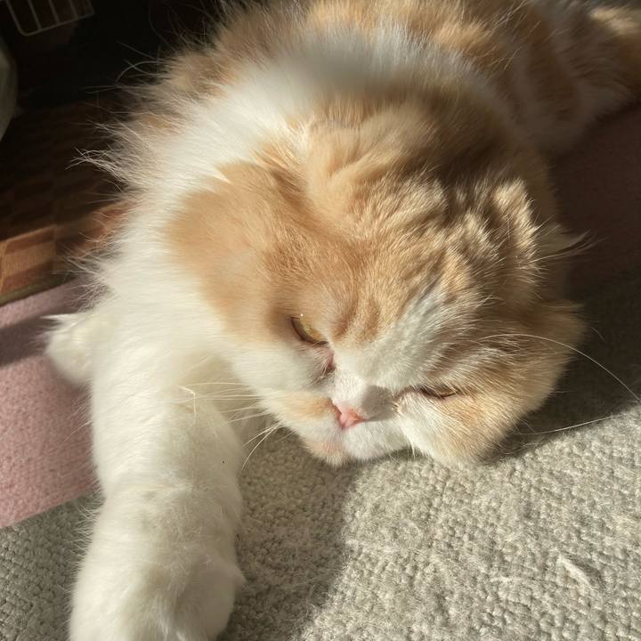 285666fd 8432 4c96 b59e fe437bc48adb 1703510088838