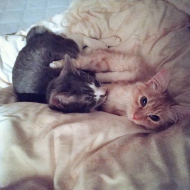 28566eb2 09f4 4496 8d3b 36a0be3b381a 1618931430818