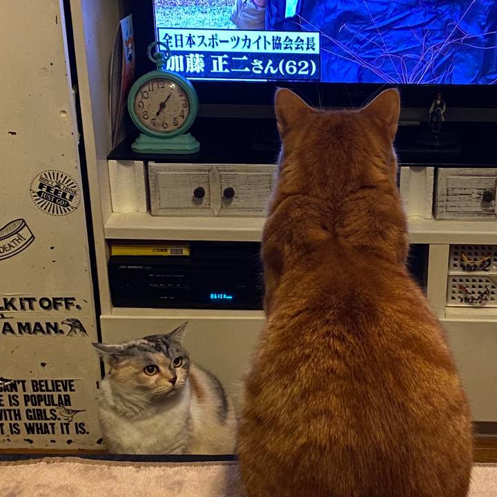 285689a0 ce94 4cb9 aa99 39aef8ba956f 1578102460284