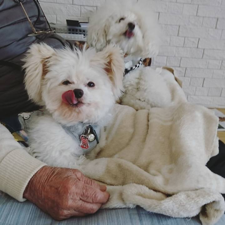 2856ad15 a31a 4bb9 b054 6de3c2dea540 1520917396791