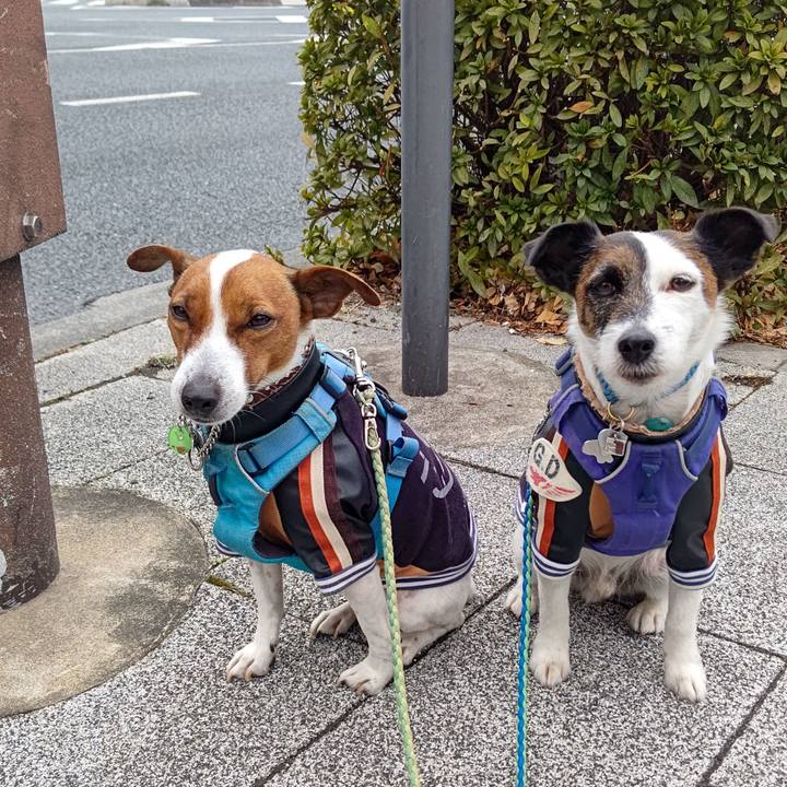 2856af02 d592 4a68 87c9 9c3f4d141e96 1644712830334