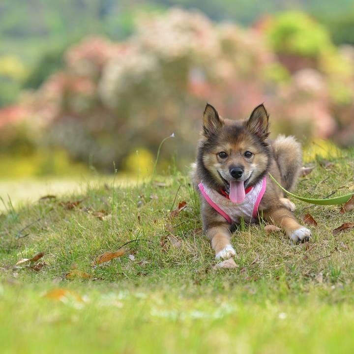 2856b6a5 5ca7 4192 9c47 8db4255166ac 1524395149806