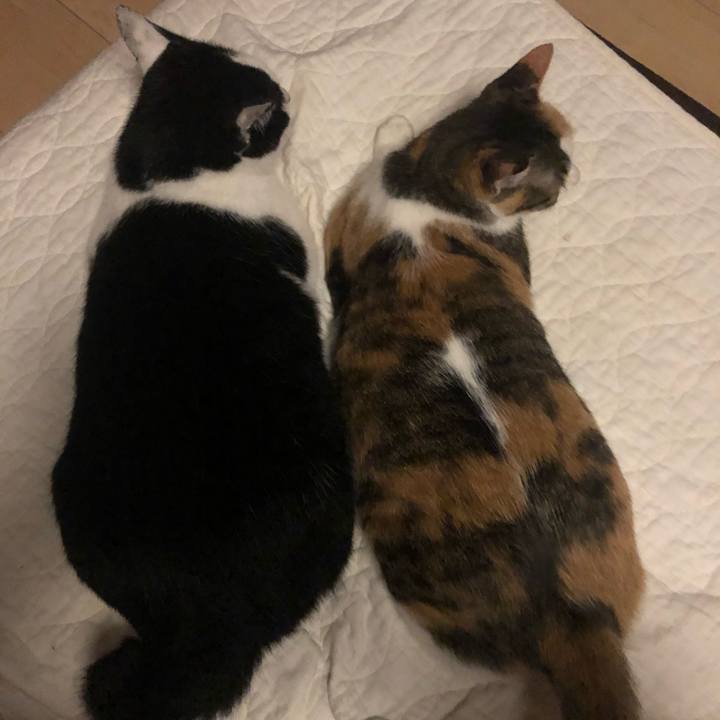 2856b8d8 1f78 4606 992d 4e444923db20 1599937423995