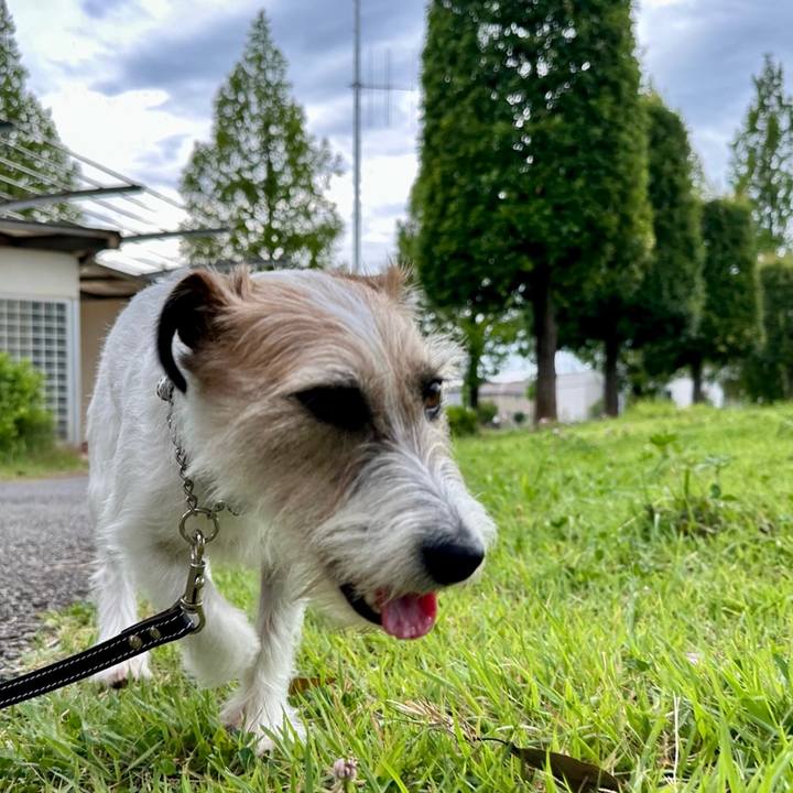 2856e18f 2975 4fb2 9a36 5d6574103d00 1720662786204