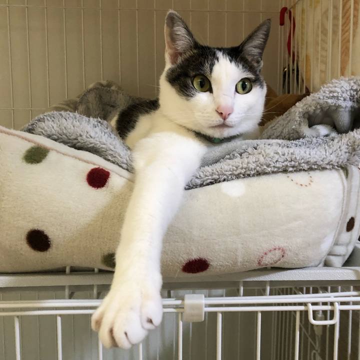 2856ebed b560 4940 be4b 2dbfa1ed87ce 1706863261395