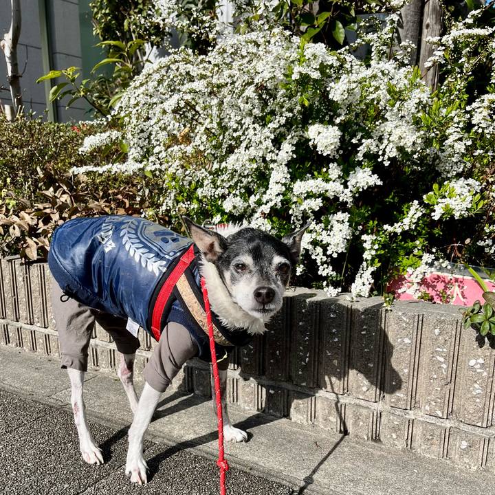 28570ecb 06d7 4f98 89d6 3028246e7359 1647736036355