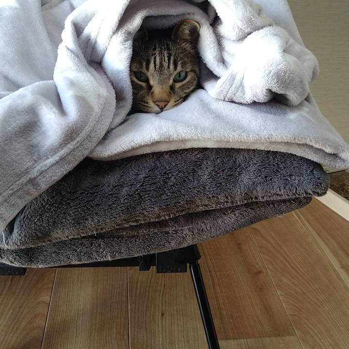 28571a86 c0a8 4fe7 b99e cbe26a96cc06 1678940168590