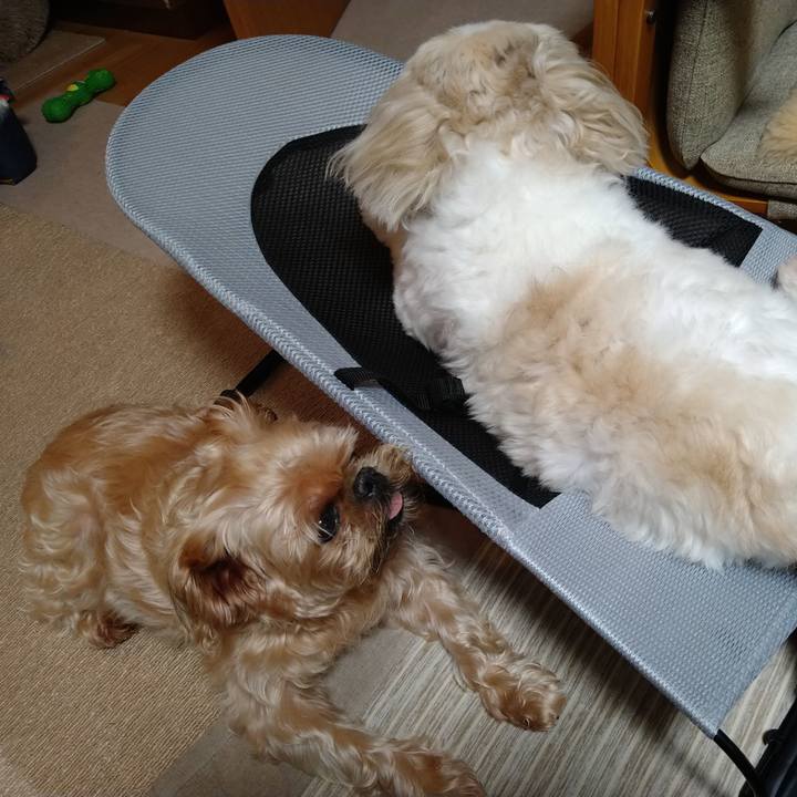 28572ae7 c811 4f5f 9e1d 1b09349431b5 1629090226059