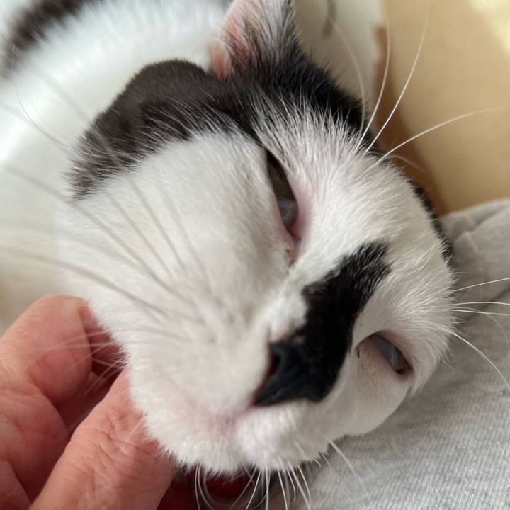 28572b0a 44e8 4592 91f6 8172976bda21 1768041341946