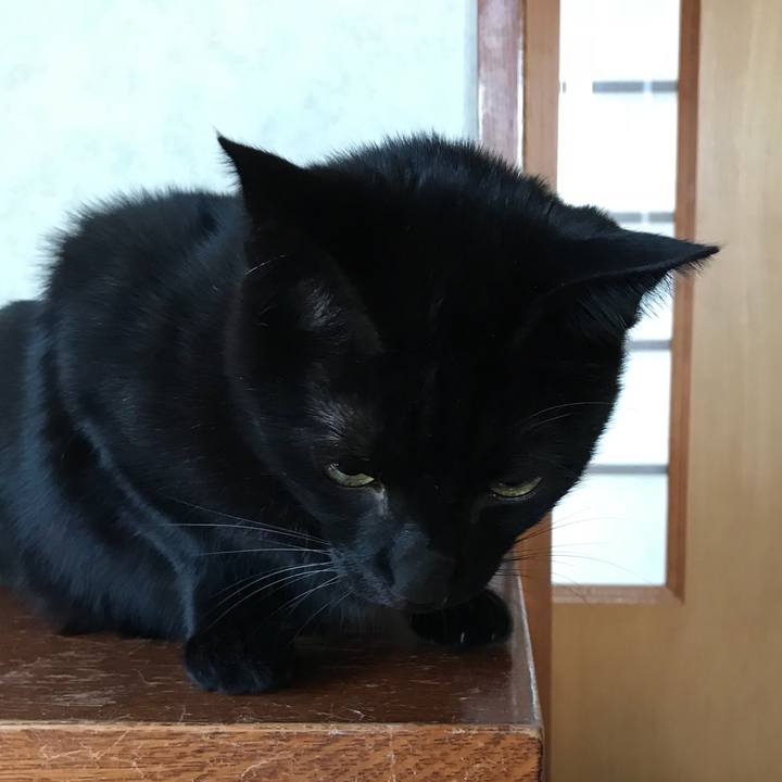 28574b22 b601 48b8 8865 0ca137fcaf6a 1511831996605