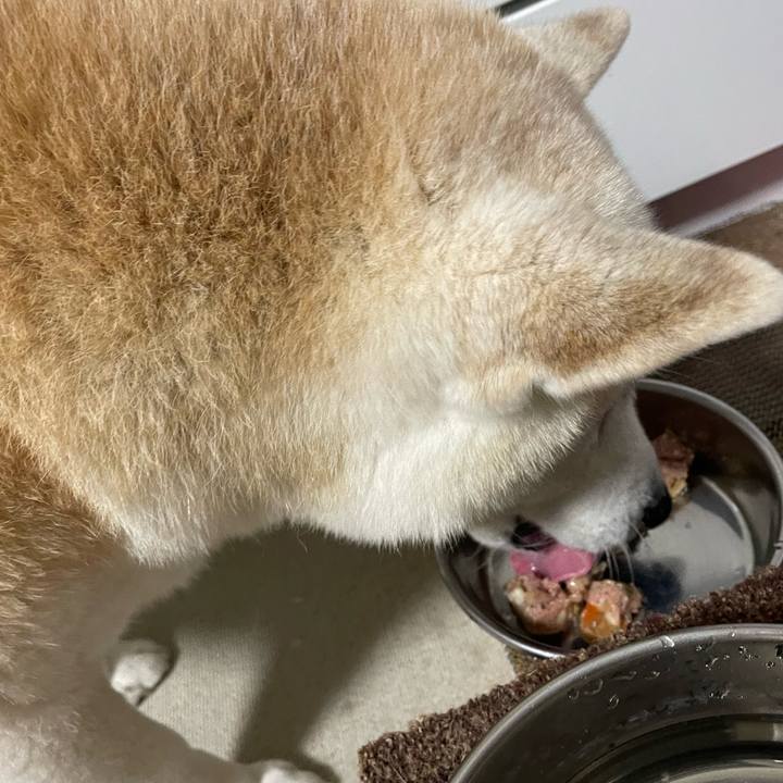 28577293 032a 41e4 97fa 2168e6fec841 1672871745242