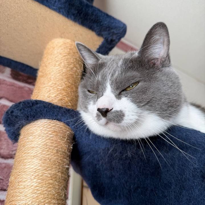 285789c7 8126 402a a078 288828db49fa 1762212996438