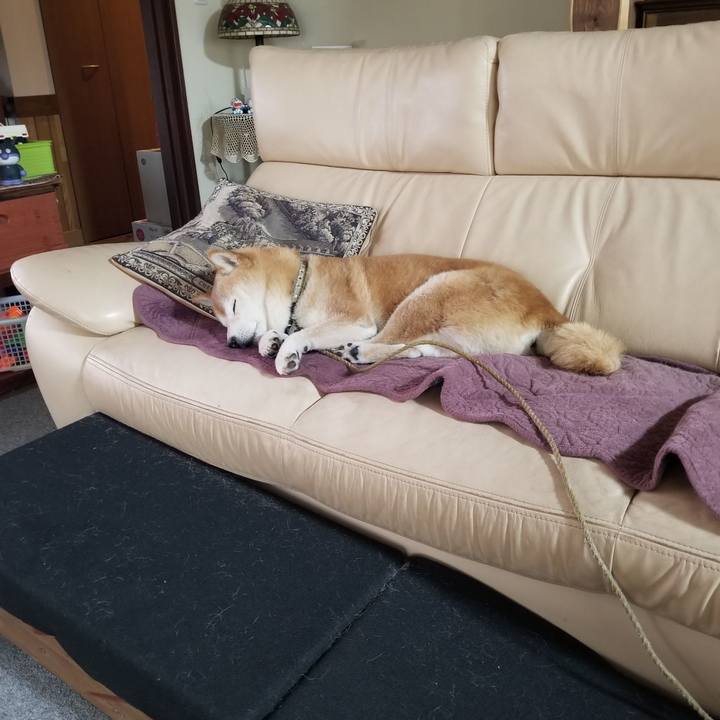 2857a5b7 c4b4 468a 9784 432d9a54cf8e 1698793045673