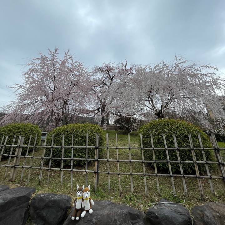 2857b7cc 6841 4586 b4ce 7a57941624b2 1679365052879