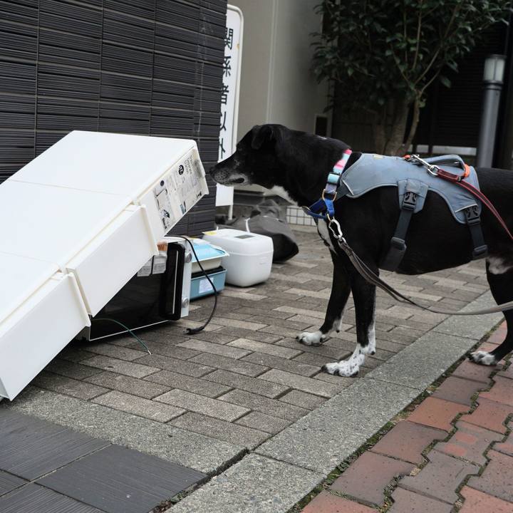 2857c81d b3a1 4aa4 a6b6 b88476156faa 1760402670053