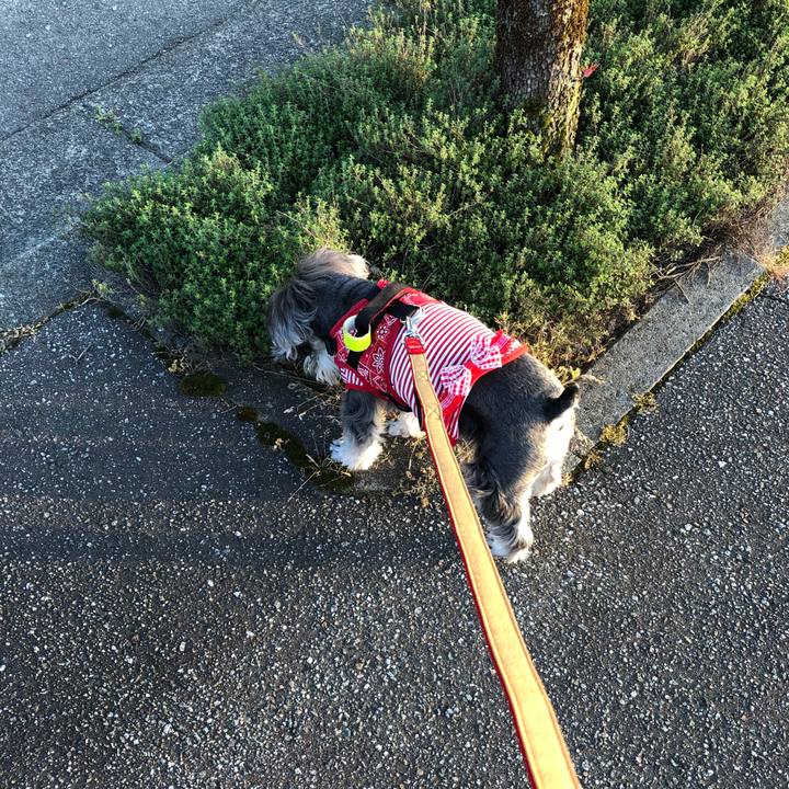 2857dca0 3310 4801 80d4 ef7f1b3d2149 1525008765590