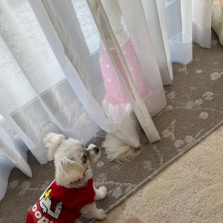 2857e4cb 58fa 443d 8e82 abad16e445ec 1715153334153