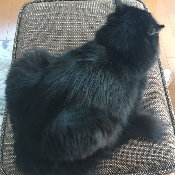 28580699 928f 4d00 ac81 fedac83e2fe7 1517527841865