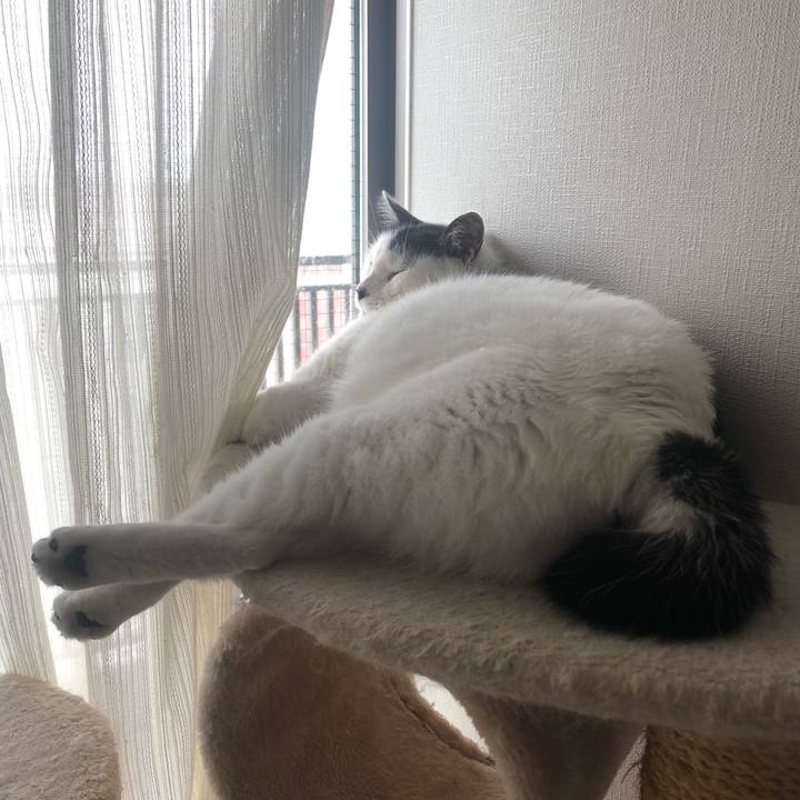 28584d3b c884 416f af9e 6b1582062a14 1569454268348