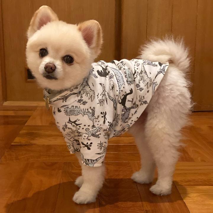 2858c815 c8e0 4a26 8434 a9d79cb93fdc 1639321383319