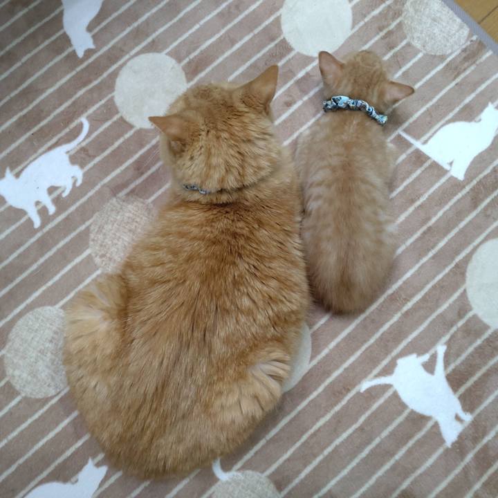 2858cc31 e5bb 45e0 8346 dc118bd7feb8 1669775972936