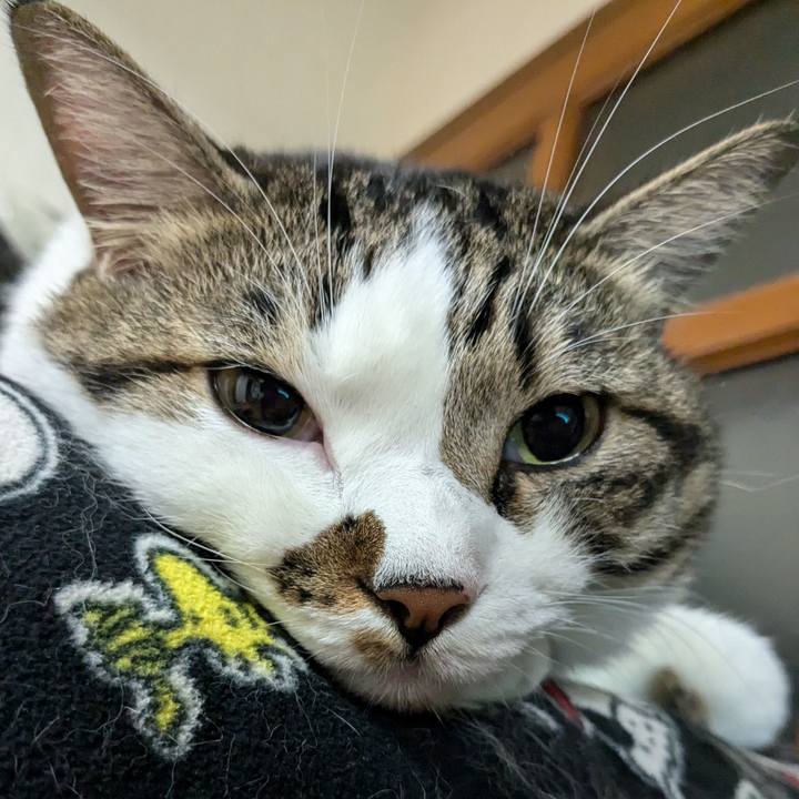 2858d415 6d29 4fb3 8197 1393d1cb2c41 1727959285264