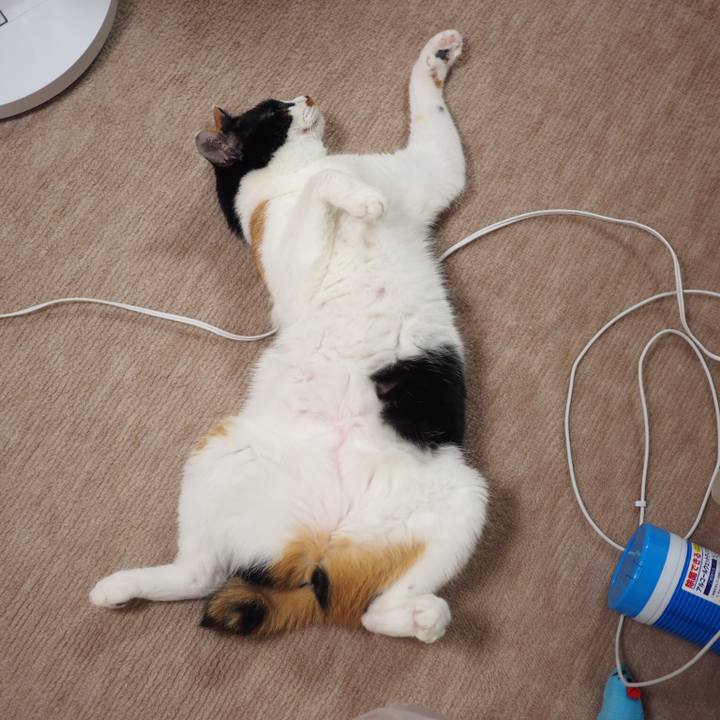 28599c70 8f46 48f6 b213 9066e2a81181 1532991432313