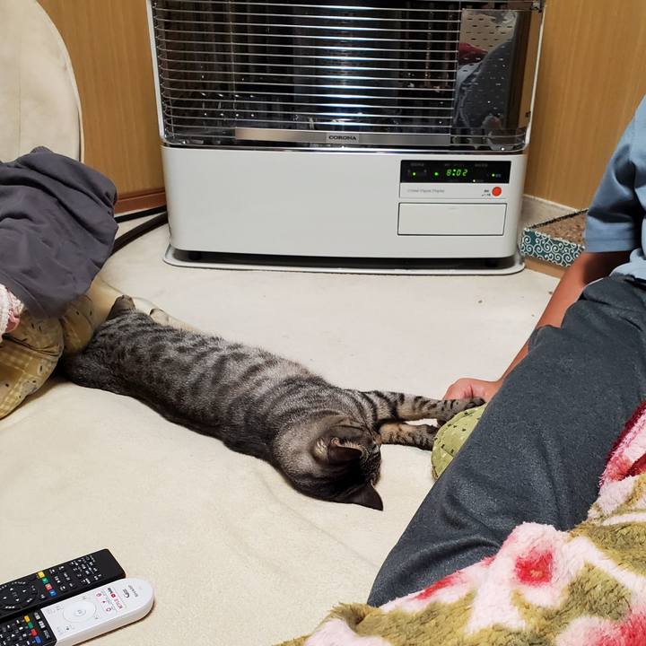 2859a78a 29f1 4668 95d9 548d863d1b38 1696739660772