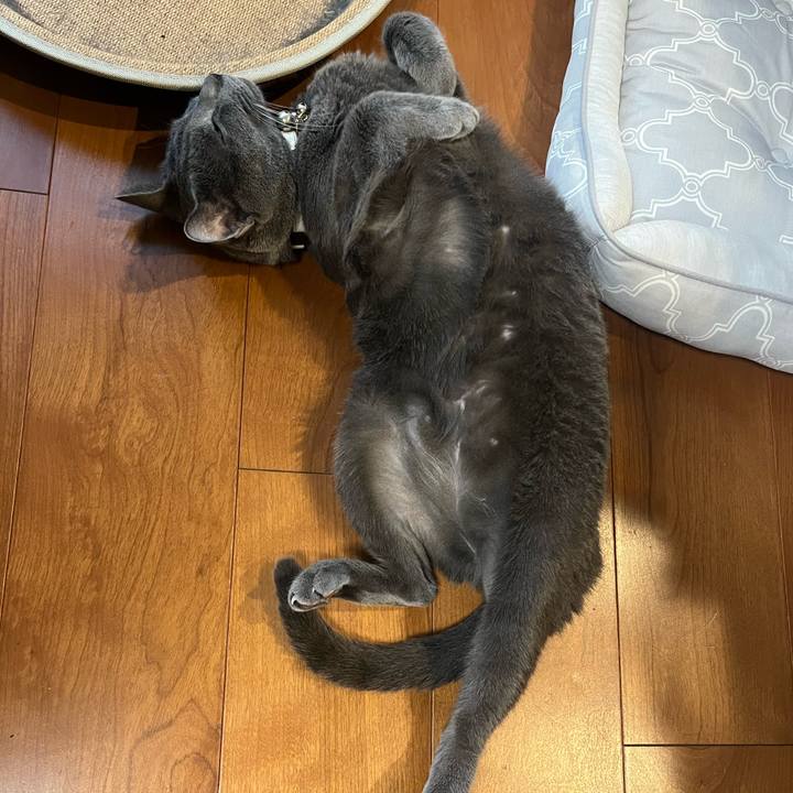 2859bb76 a23c 4475 ba79 31a22290a0a3 1725355304262